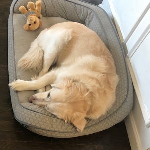 Meet your Posher, Dina gabriela